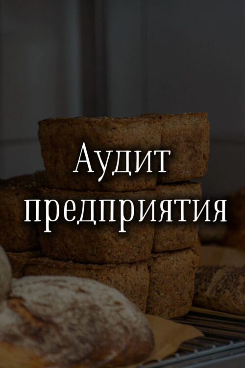Аудит предприятия